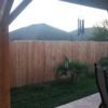 backyard residential fence alamo decks and fence
