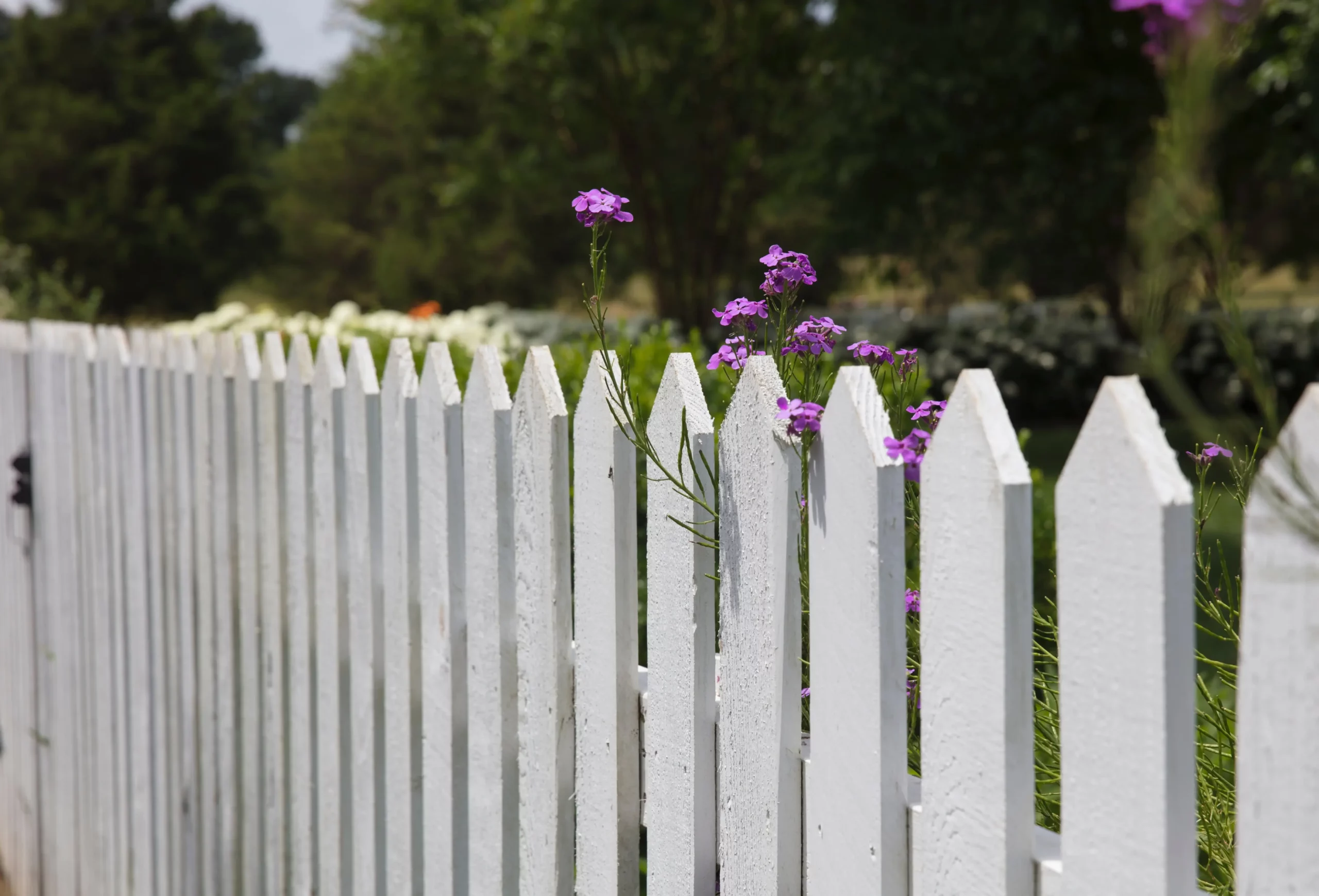 Fencing and Decking in Olmos Park TX
