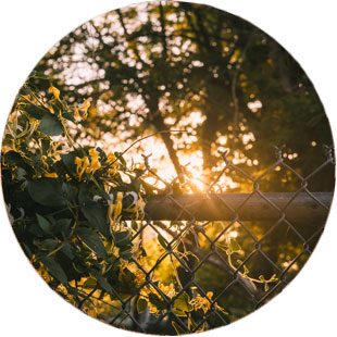 up-close chain link fencing