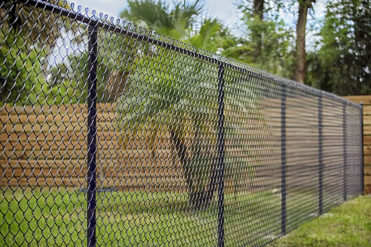 chain link fence China Grove